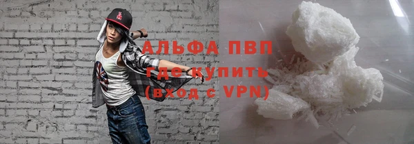 прущие грибы Балахна
