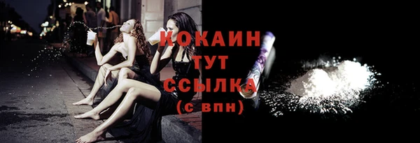 прущие грибы Балахна