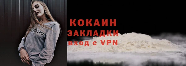 прущие грибы Балахна