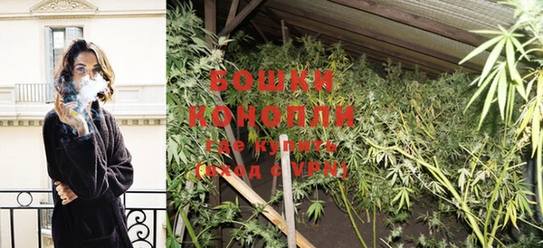 ГАЛЛЮЦИНОГЕННЫЕ ГРИБЫ Балабаново