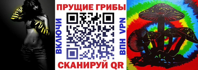 Псилоцибиновые грибы мицелий  Купить  Карачев 
